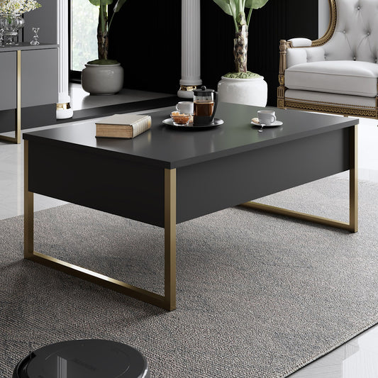 Žurnalinis staliukas Luxe - Anthracite, Gold