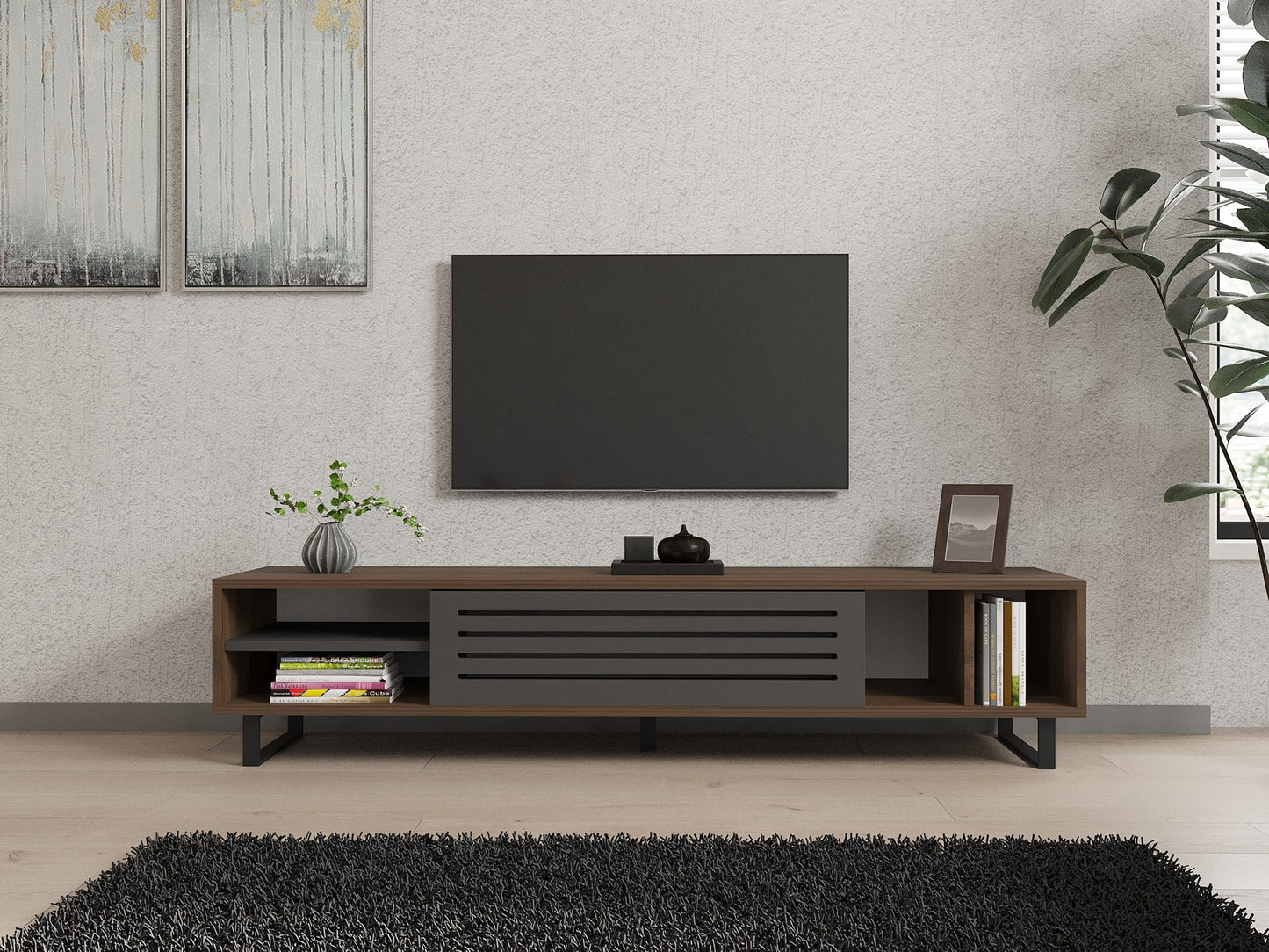 TV staliukas Eray - Walnut, Anthracite